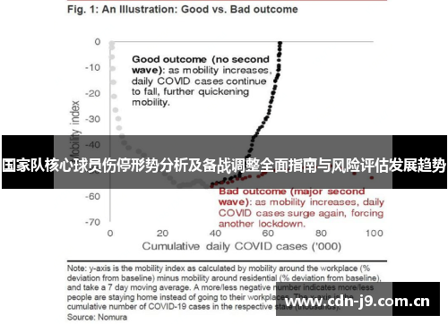 国家队核心球员伤停形势分析及备战调整全面指南与风险评估发展趋势